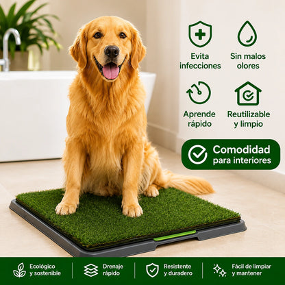 PawGrass™ – Tapete Sanitario para Perro